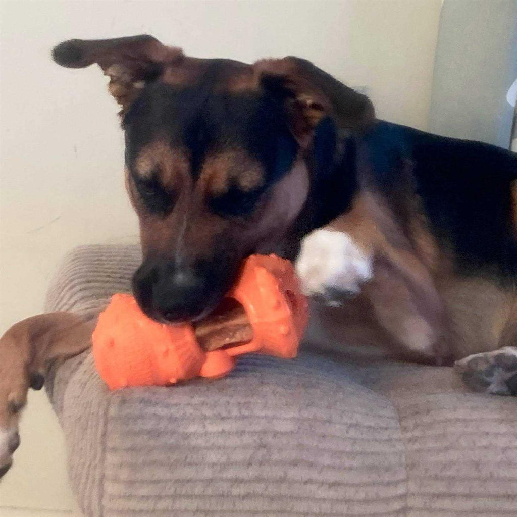 Dog Chew Toy C919715