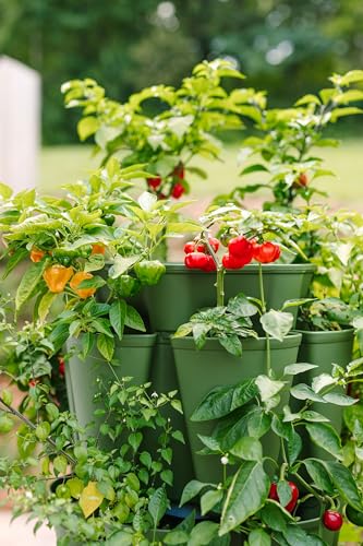 5 Tier Vertical Garden Planter with Internal Watering System X933291