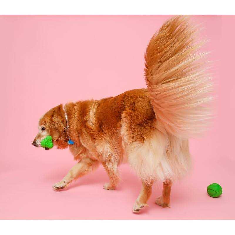 Dura Play Bone Dog Toy S822266