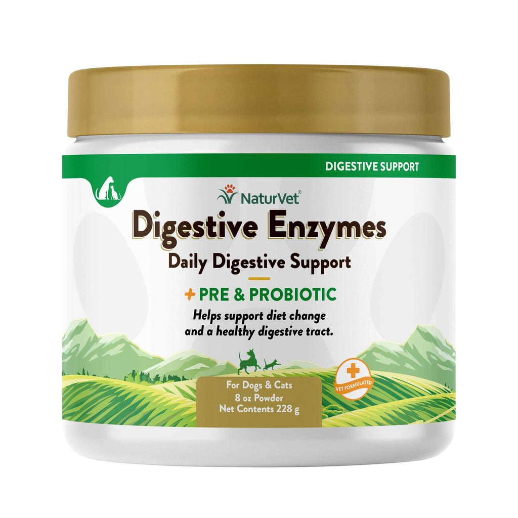 Digestive Enzymes Powder P135