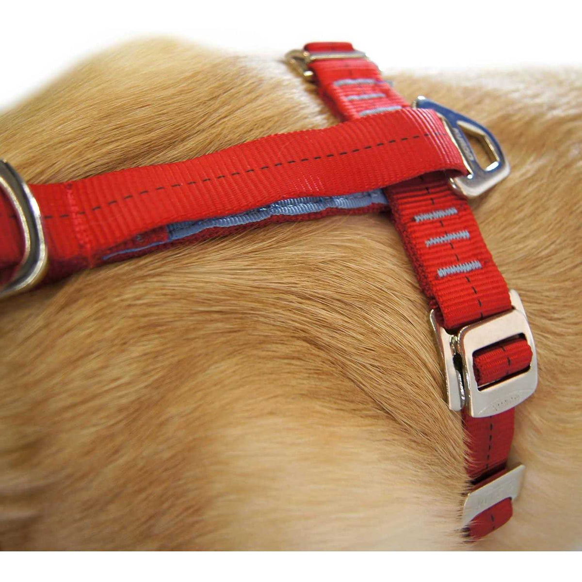 Dog Harness H588