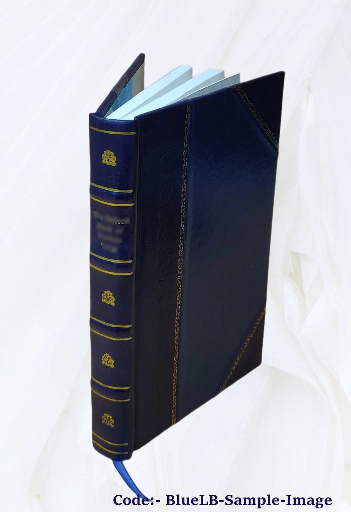 Leather Bound Book R17380