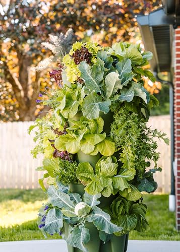 5 Tier Vertical Garden Planter with Internal Watering System X933291