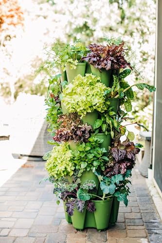 5 Tier Vertical Garden Planter with Internal Watering System X933291