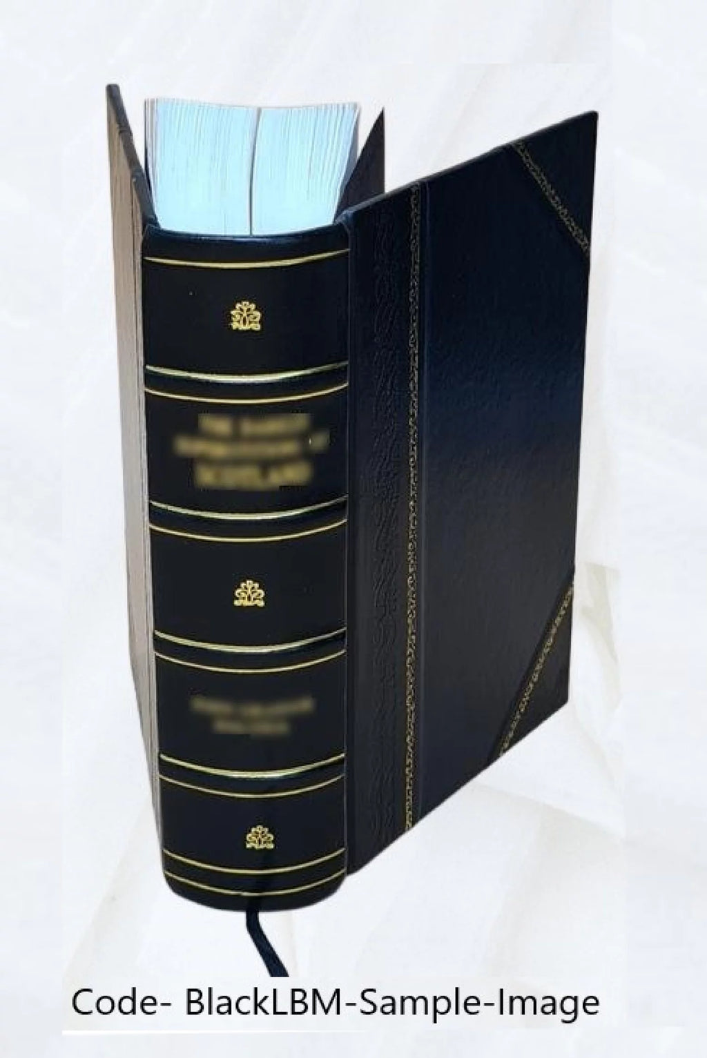 Médecine domestique Volume 4 Leather Bound X312