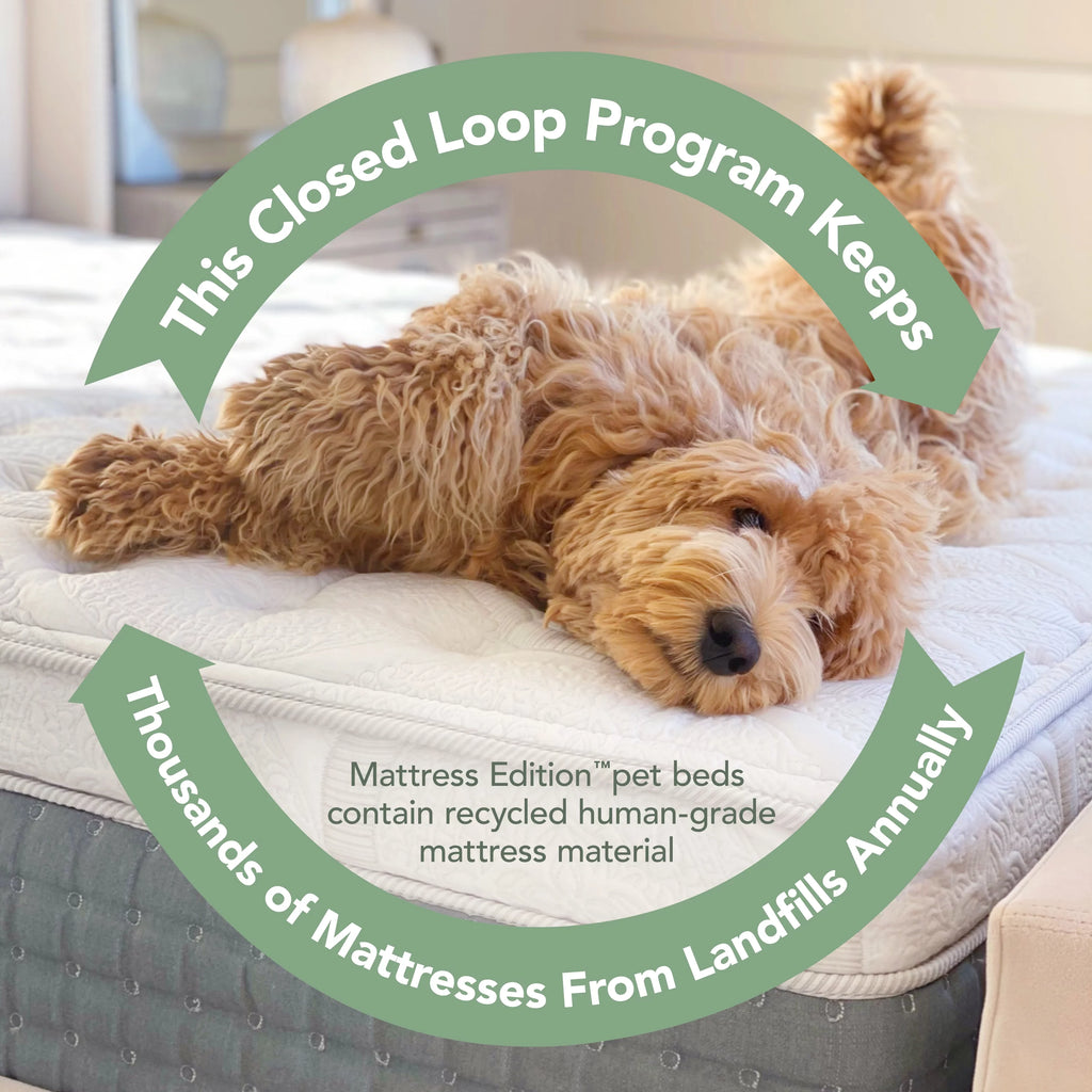 Small Pet Bed Mattress S455722