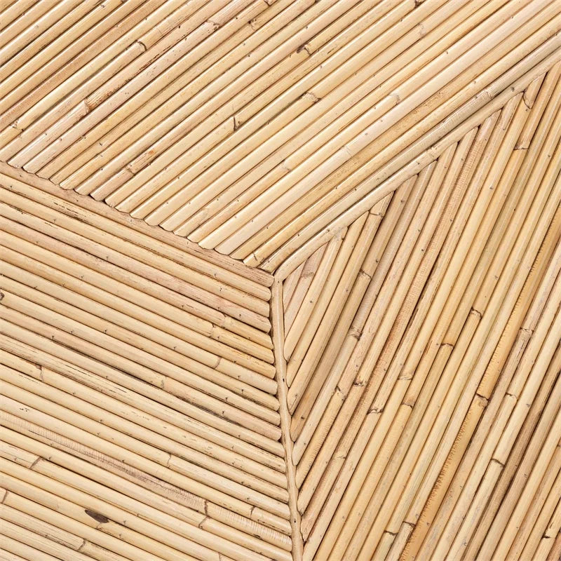 Natural Rattan and Mahogany Wood Coffee Table V606226