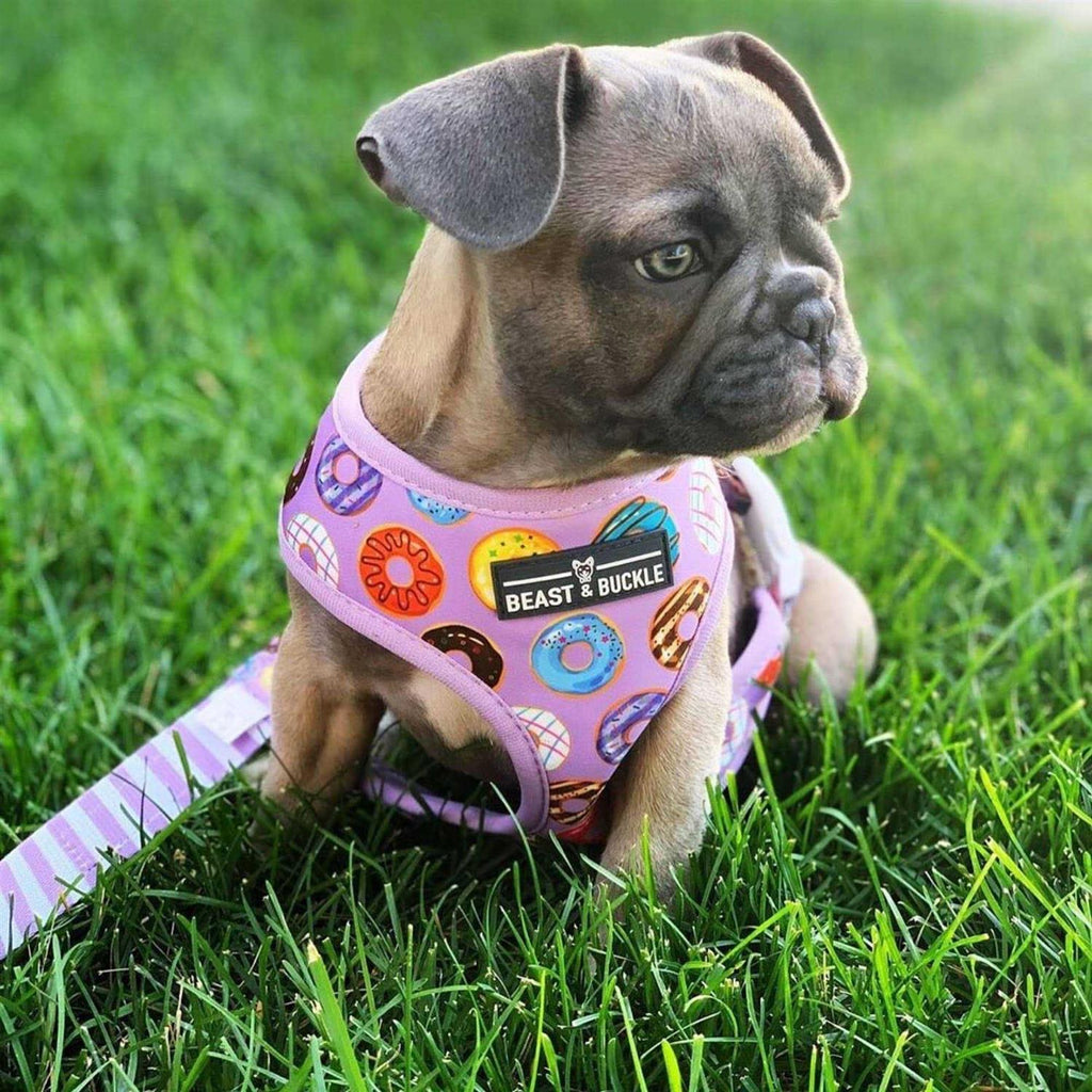 Reversible Dog Harness A1990