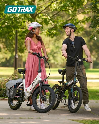 20" Folding Electric Bike with 48V Battery, 500W, 7-Speed B3994