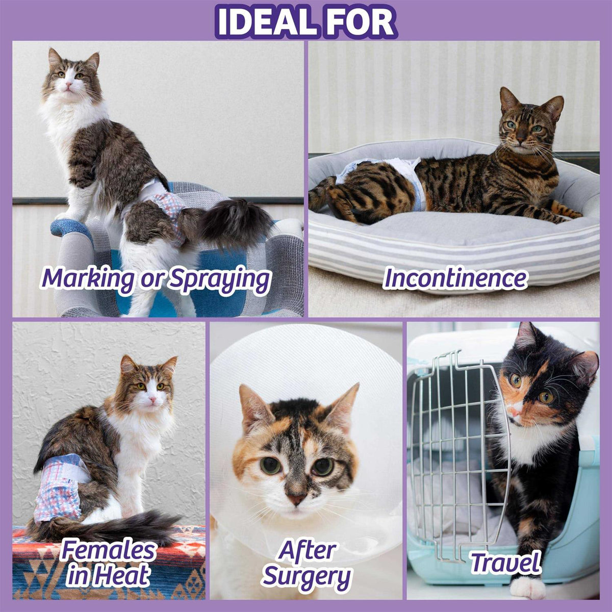 Disposable Cat Diapers A2391
