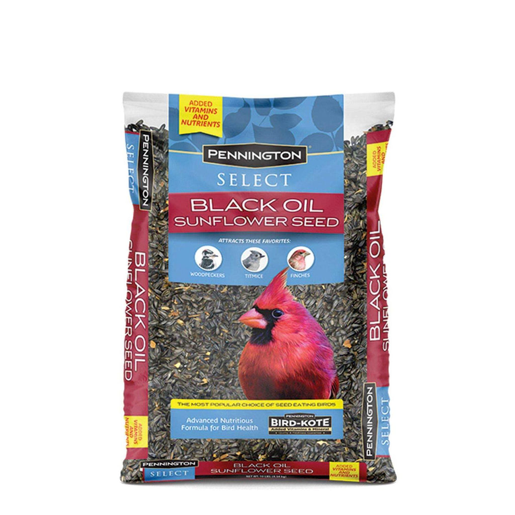 Black Oil Sunflower Seed Wild Bird Feed A6507