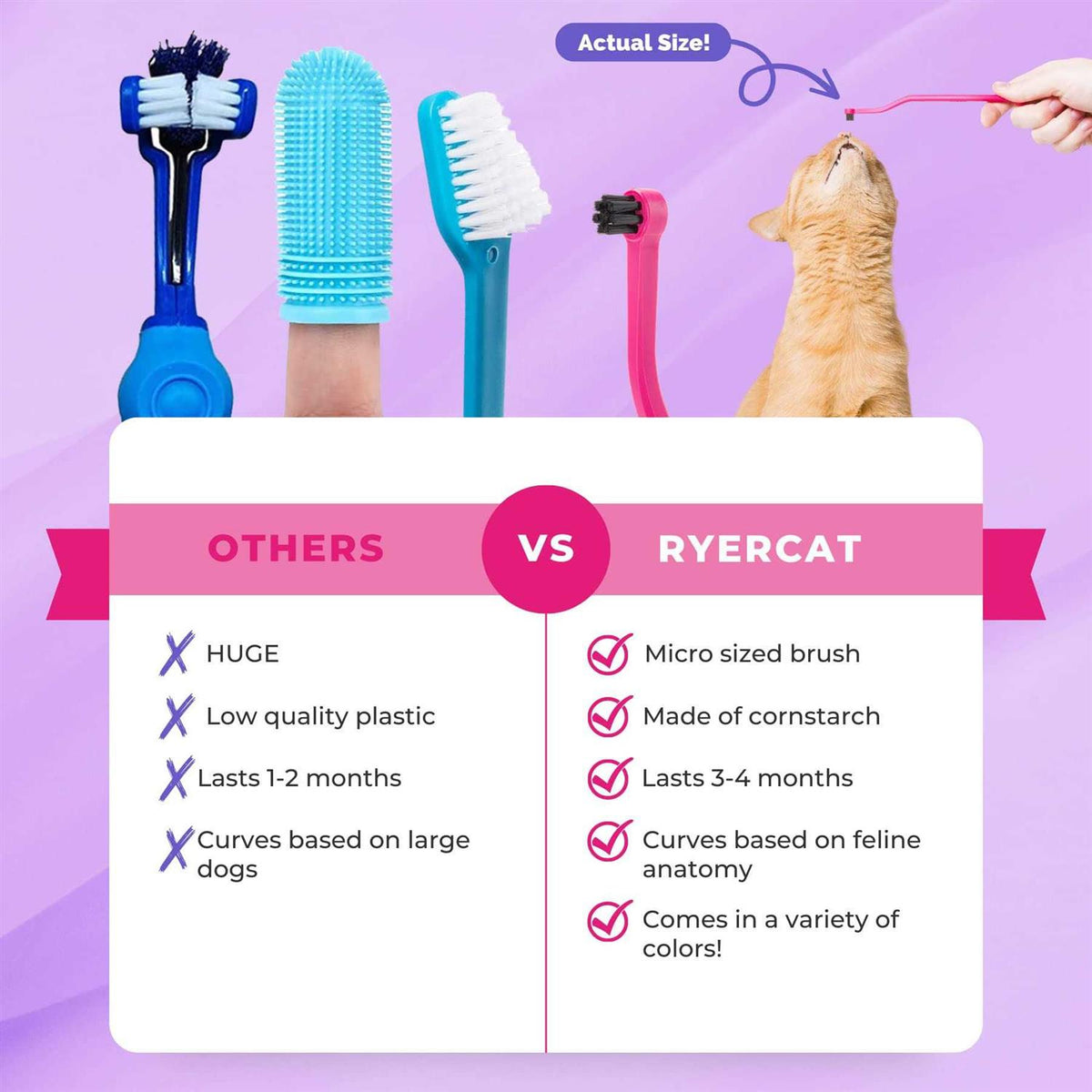 Dual Sided Cat Toothbrush L52654
