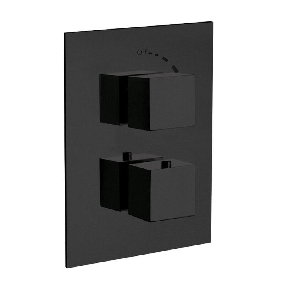 Black Thermostatic Trim with Volume Control Y113