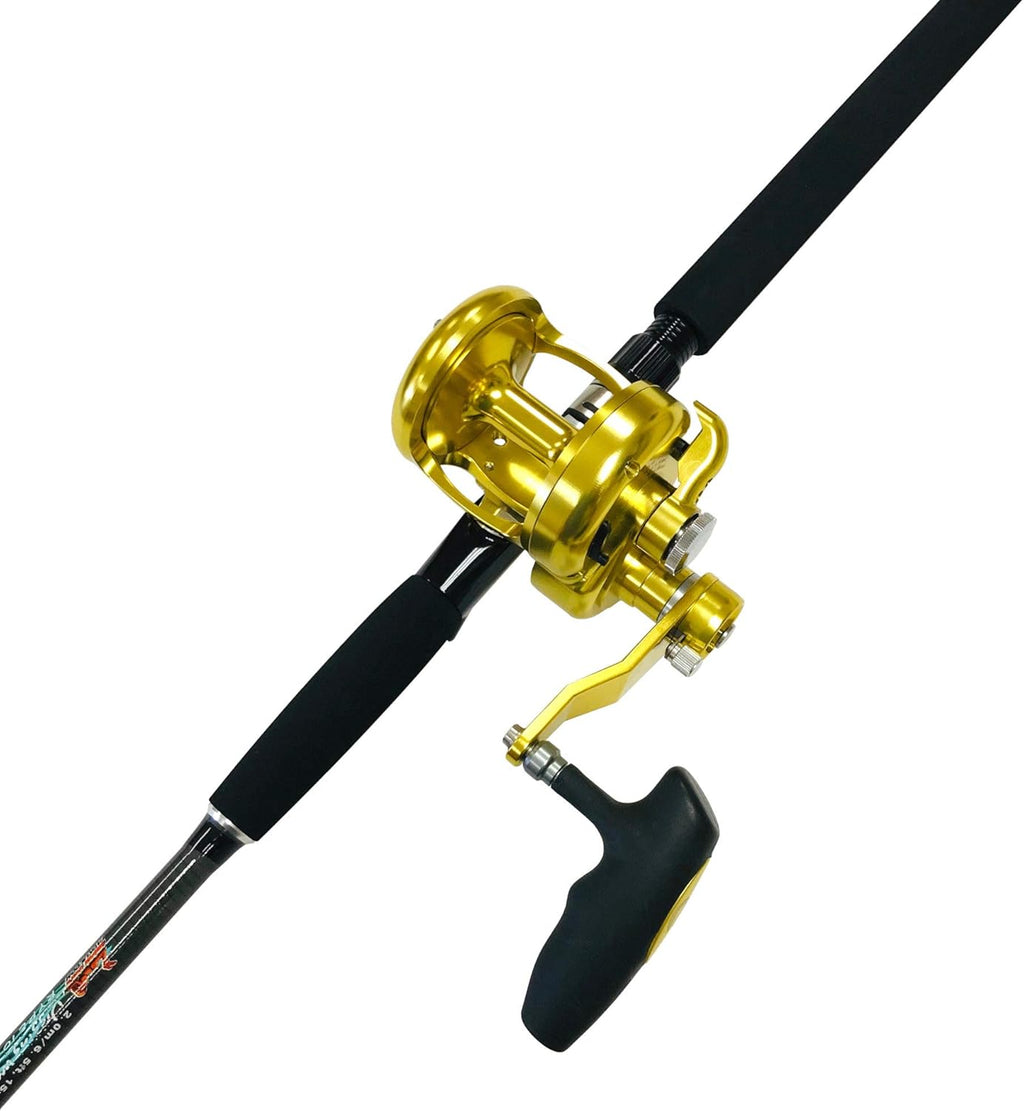 Baitcasting Rod and Reel Combo I469664