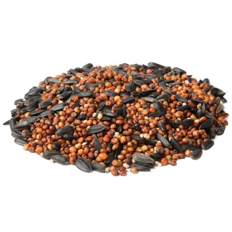 Wild Bird Food D5829