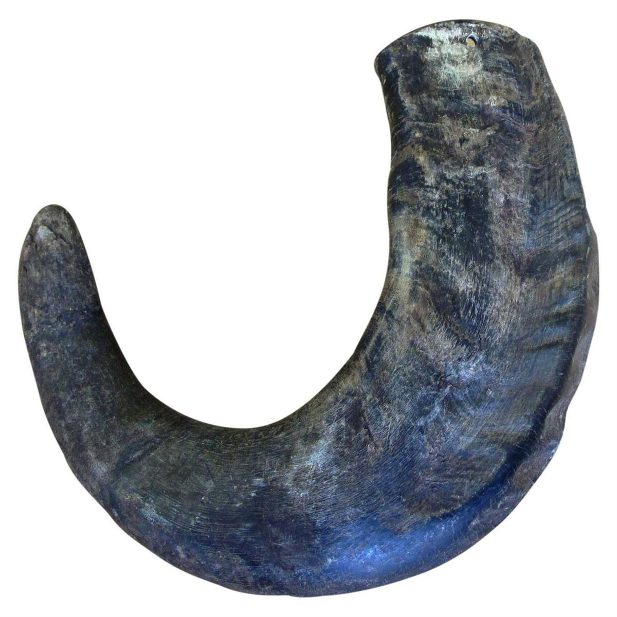 Dog Water Buffalo Horn Small M128