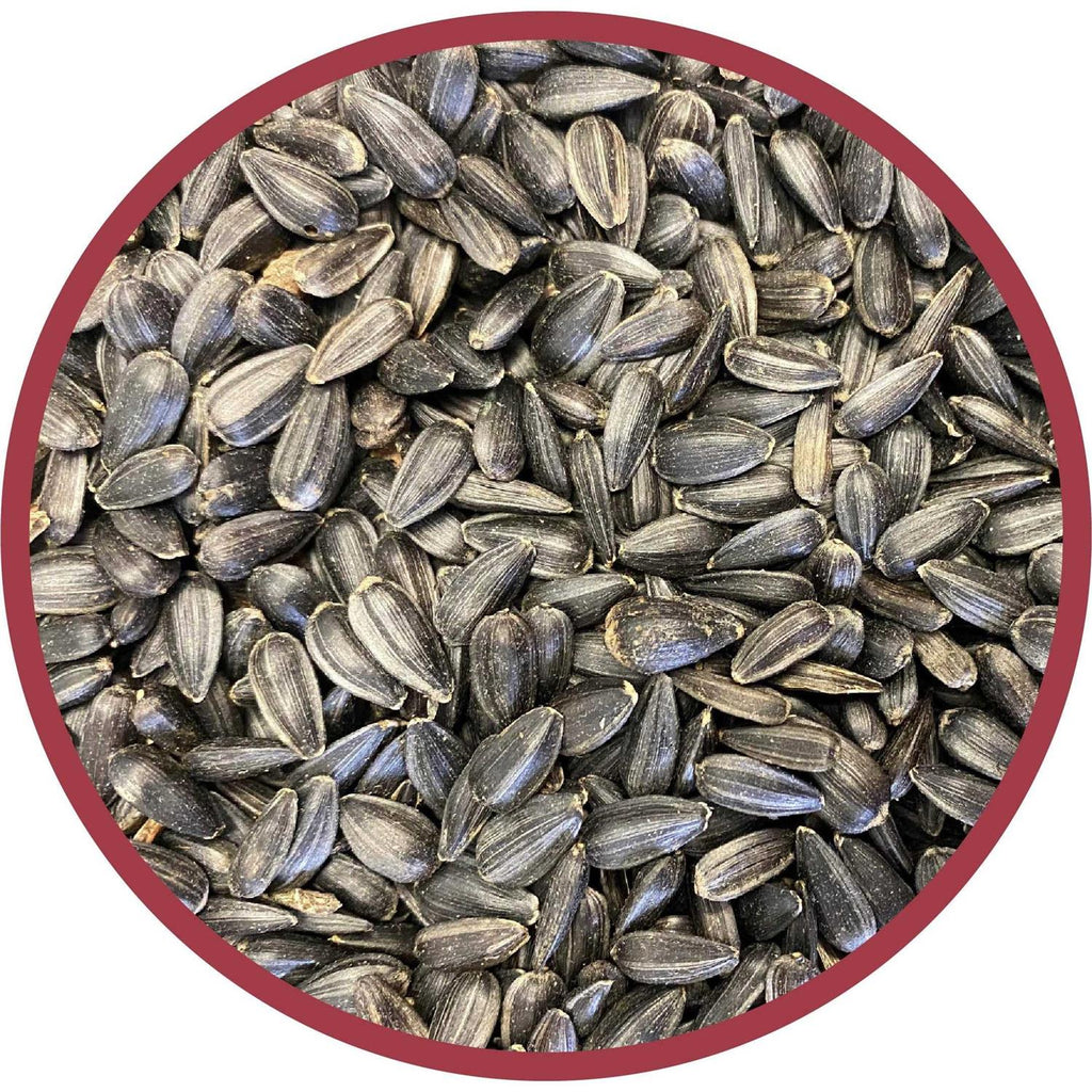 Black Oil Sunflower Seed Wild Bird Feed A6507