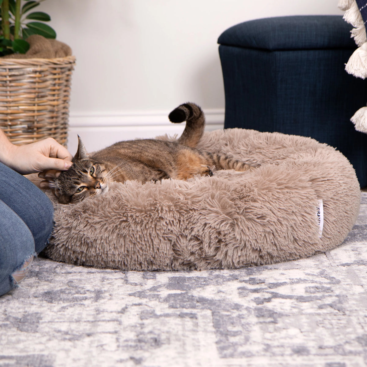 Small Pet Bed Mattress S455722
