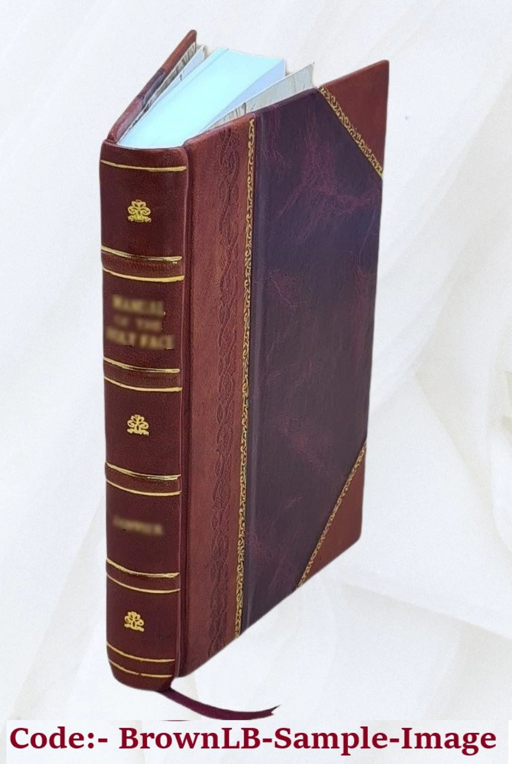 Leather Bound Book R17380