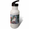 21 oz Sports Water Bottle S284