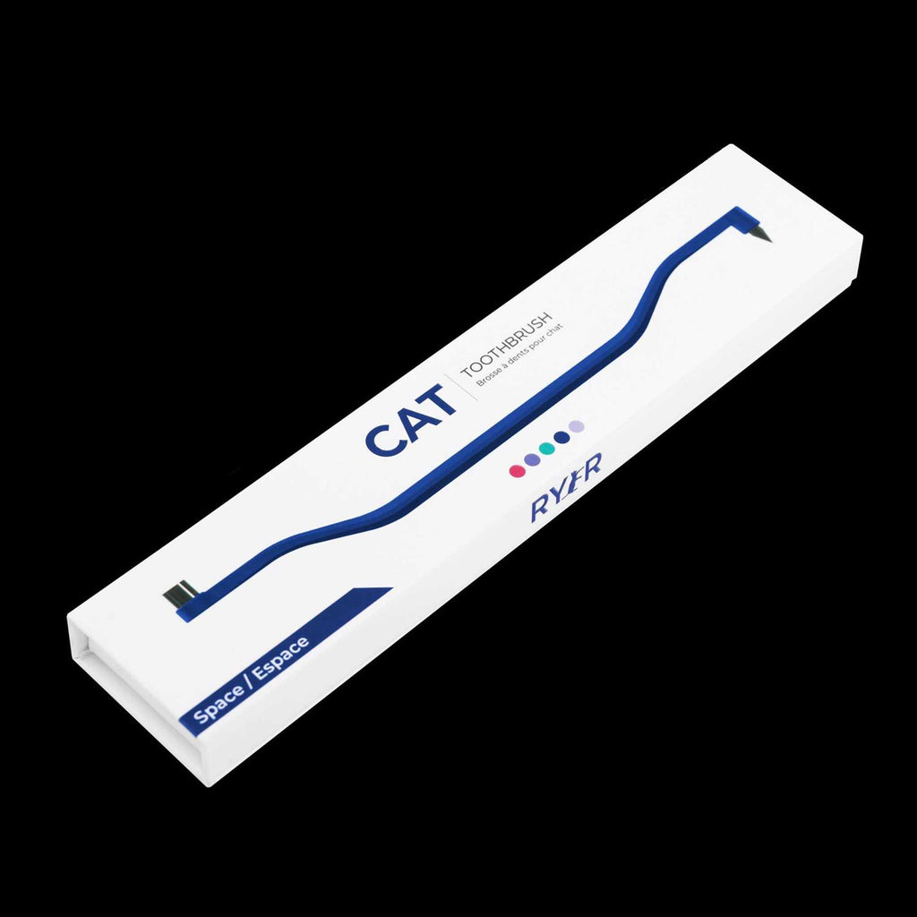 Dual Sided Cat Toothbrush L52654