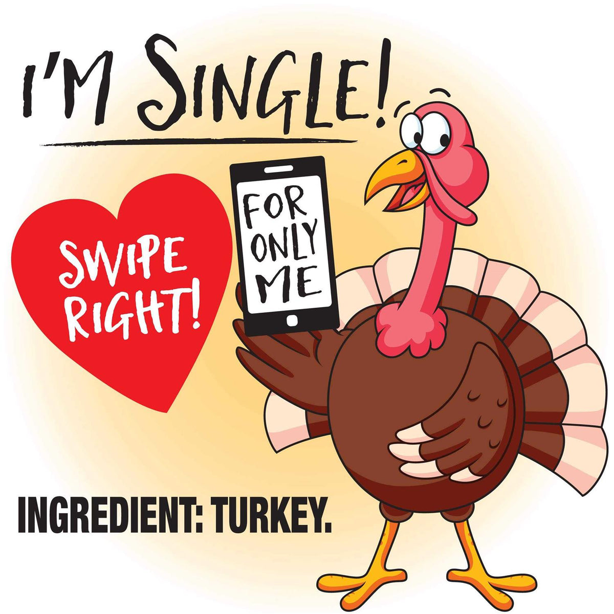 Turkey Canned Dog Food D663