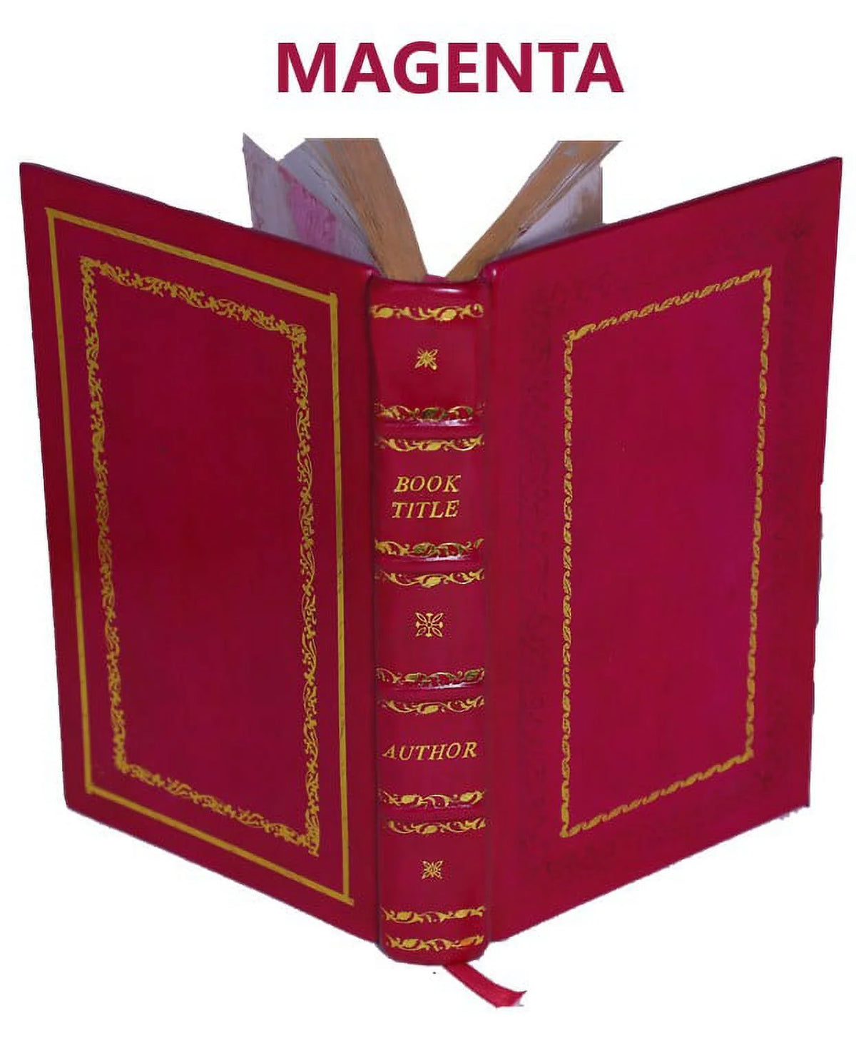 The Æneids of Virgil 1876 Leather Bound I65203