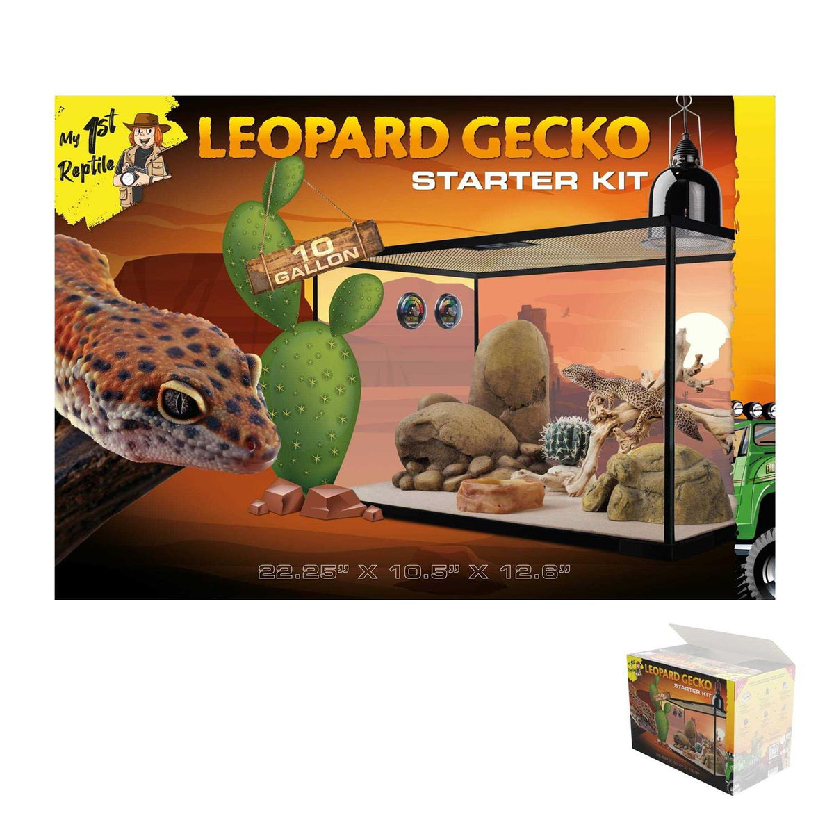 Leopard Gecko Reptile Starter Kit A6752