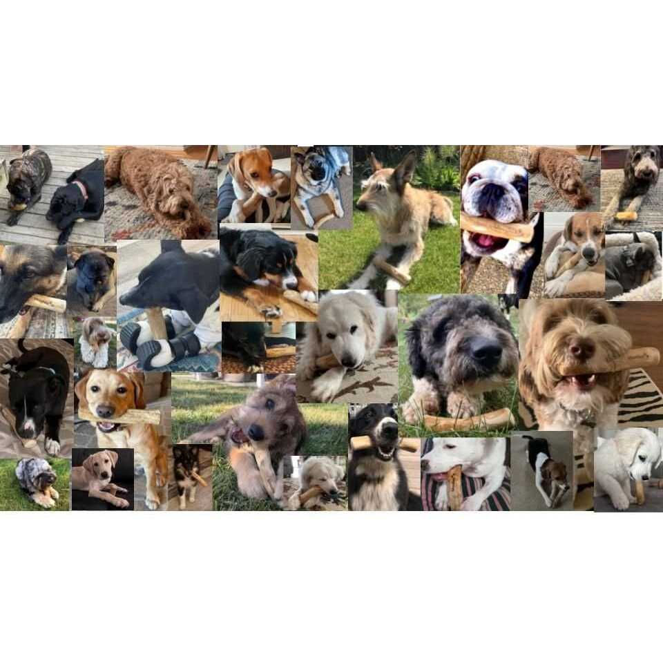 Dog Chew Toys Coffee Wood C137911