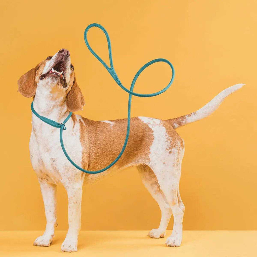 Leather Round Slip Lead N1543
