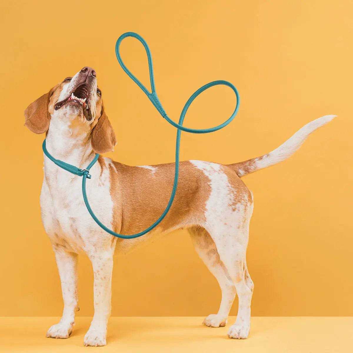 Leather Round Slip Lead N1543