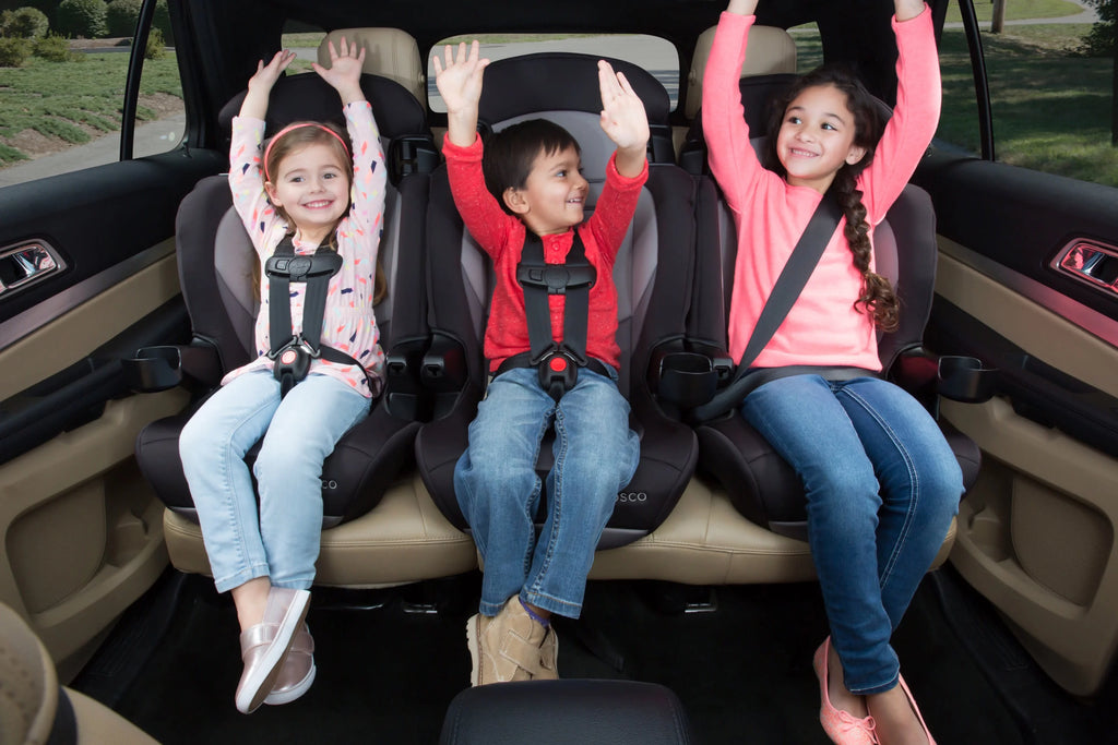 2-in-1 Booster Car Seat X226421