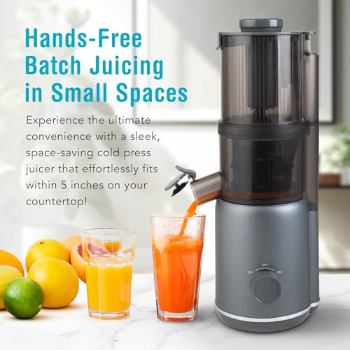 Juicer W5889