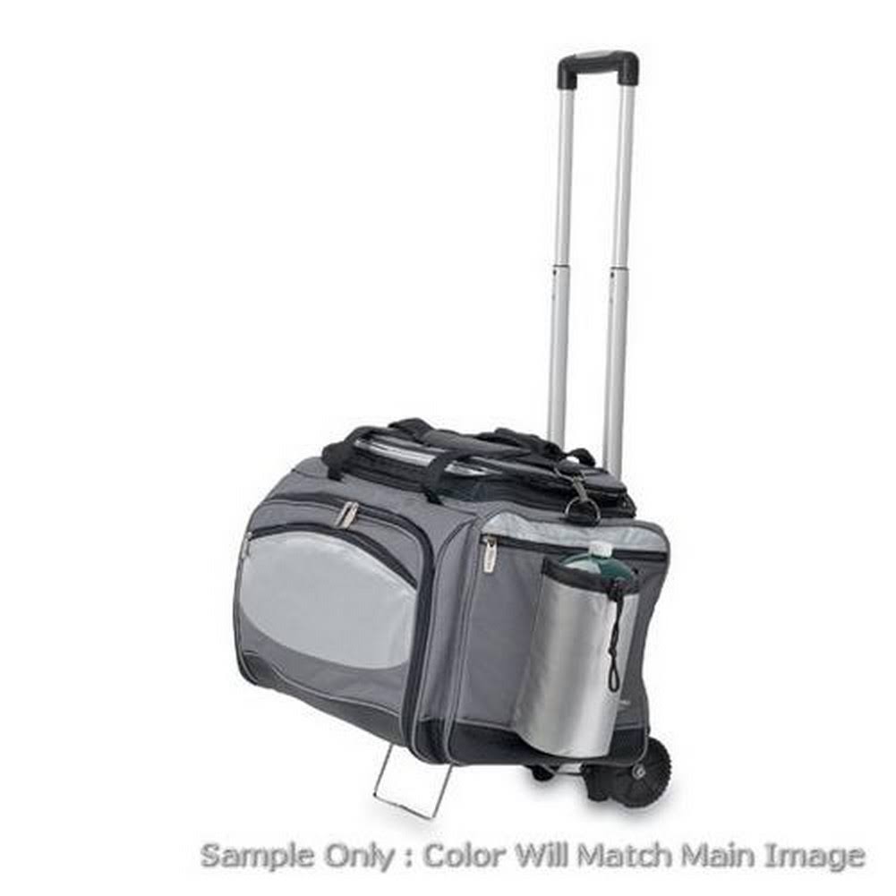 Vulcan Cooler & Propane Gas Grill N796376