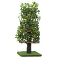 Cat Tree with Leaves Cat House & Cat Activity Tree N392