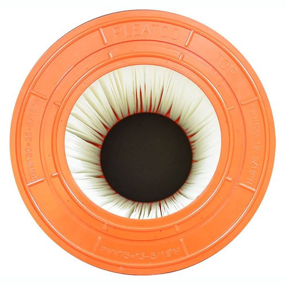 Replacement Cartridge for Pool 100 D395