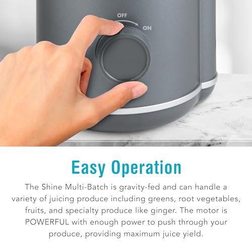 Juicer W5889
