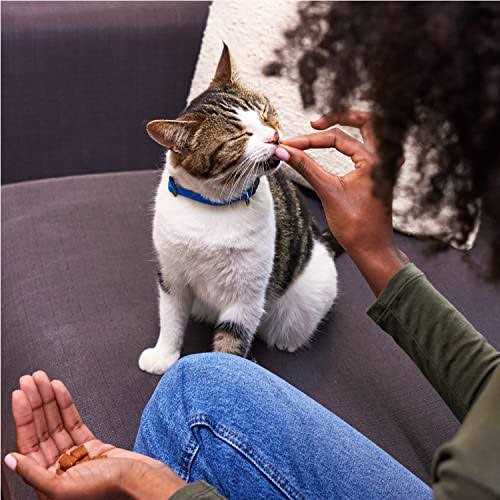 Classic Crunchy and Soft Cat Treats Variety Pack C311