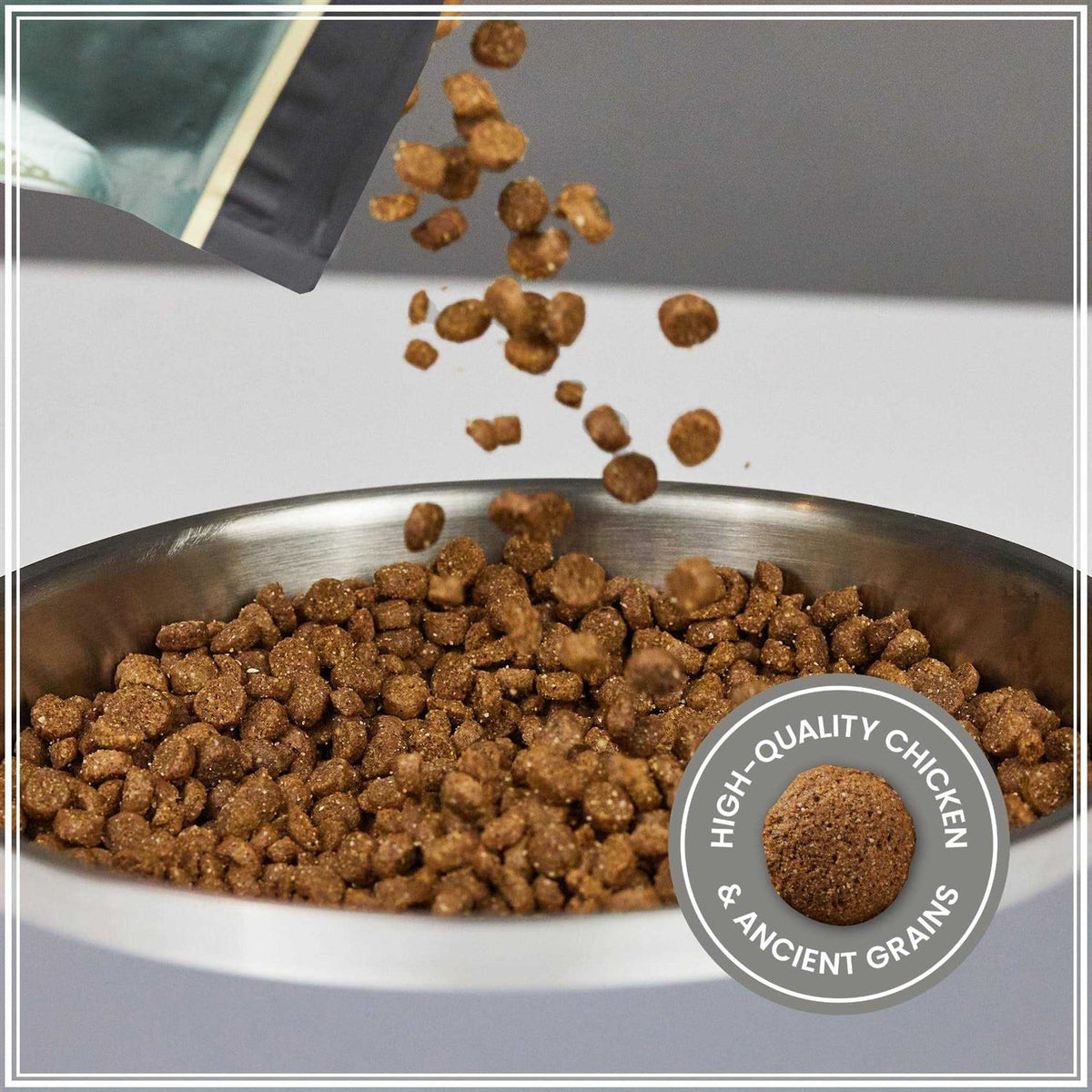 Ancient Grains with Chicken Dog Food H67335