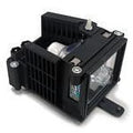 Projector Lamp with Housing A149807