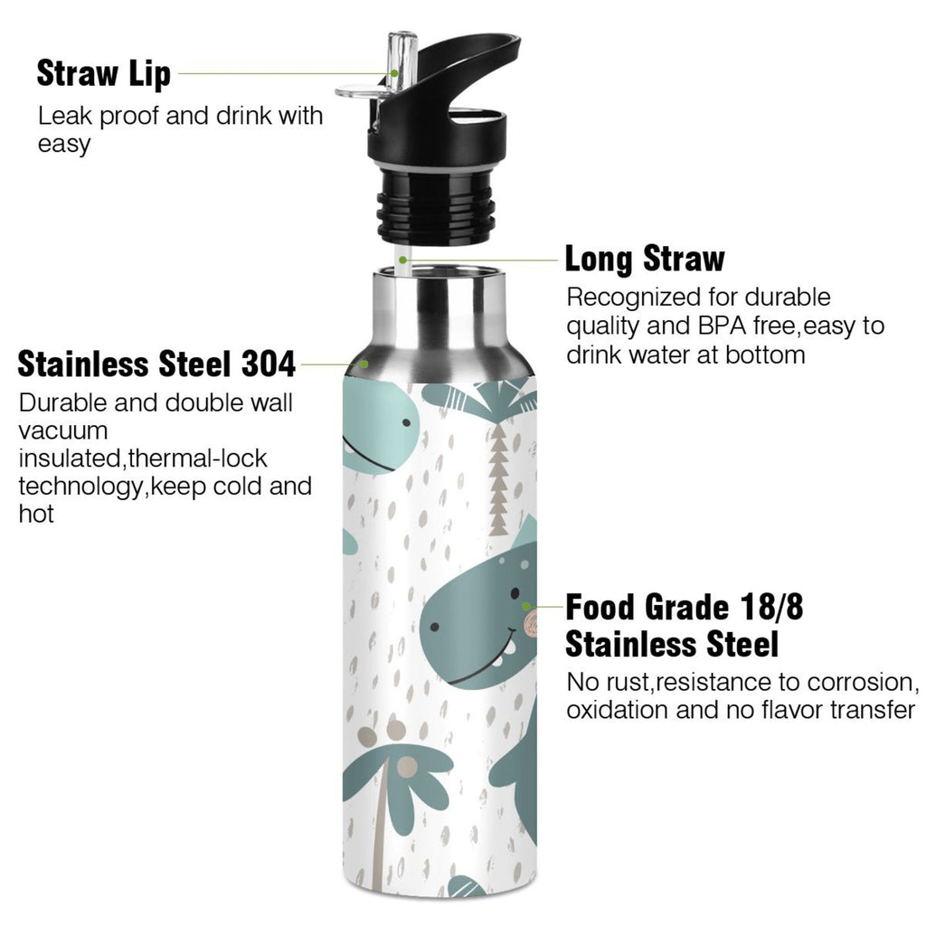 Stainless Steel Insulated Water Bottle with Straw Lid T507