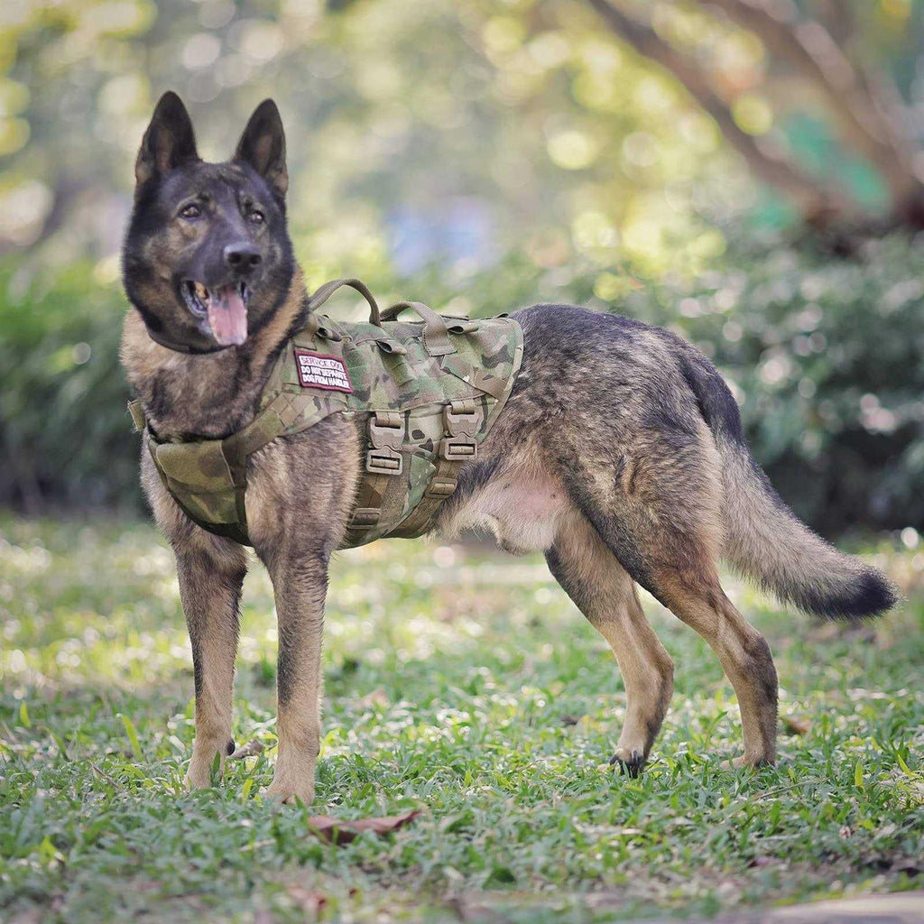 Tactical Dog Harness Adjustable Padded MOLLE Vest K631529