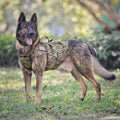 Tactical Dog Harness Adjustable Padded MOLLE Vest K631529