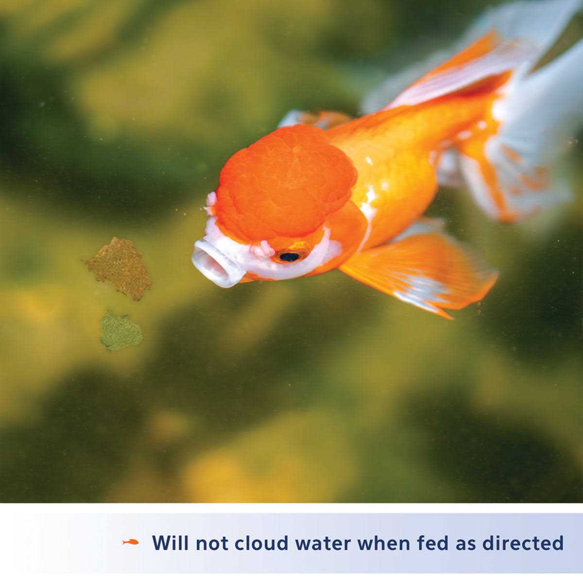 Goldfish Flakes F54891