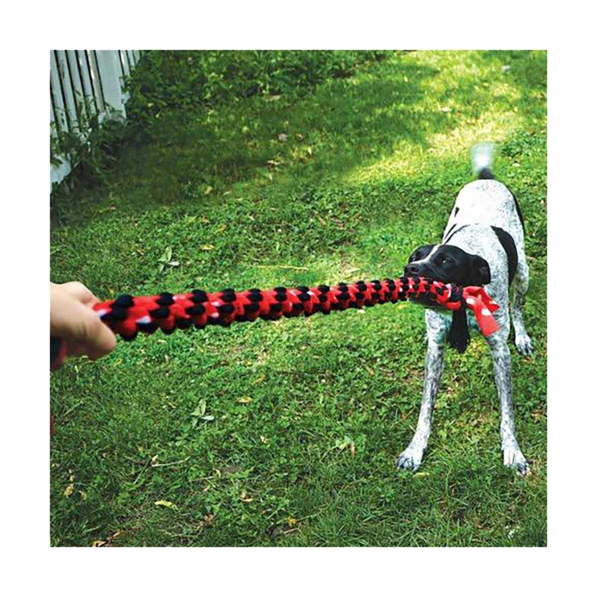 Rope Dog Toy Y61100