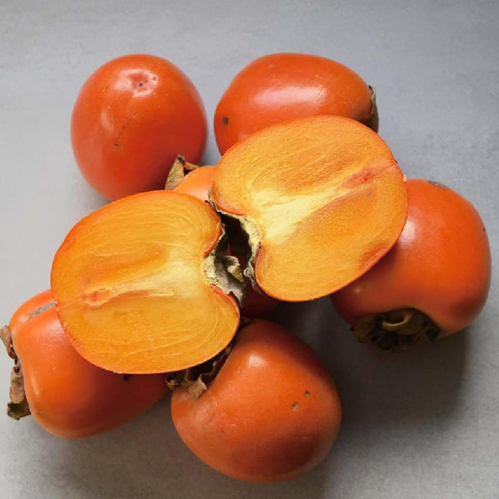 10 Pcs Fuyu Persimmon Fruit Tree Seeds K183934