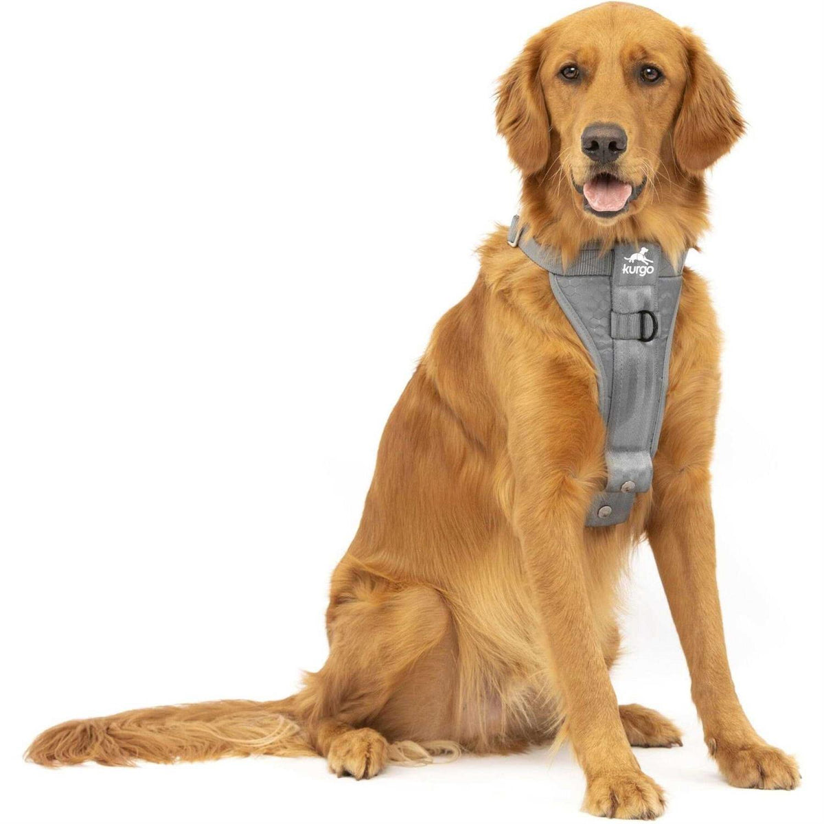 Dog Harness H588