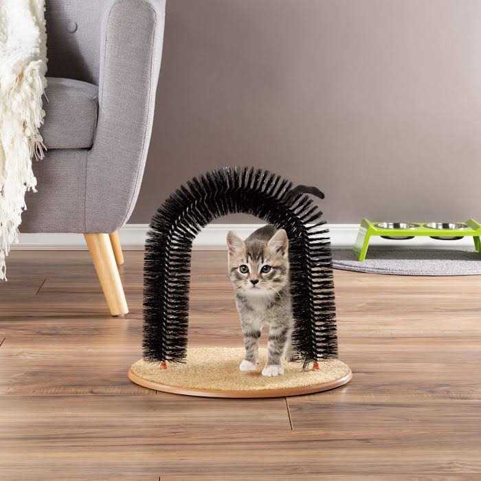 Self Grooming Cat Arch B794