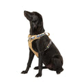 Lightweight Dog Harness L5099