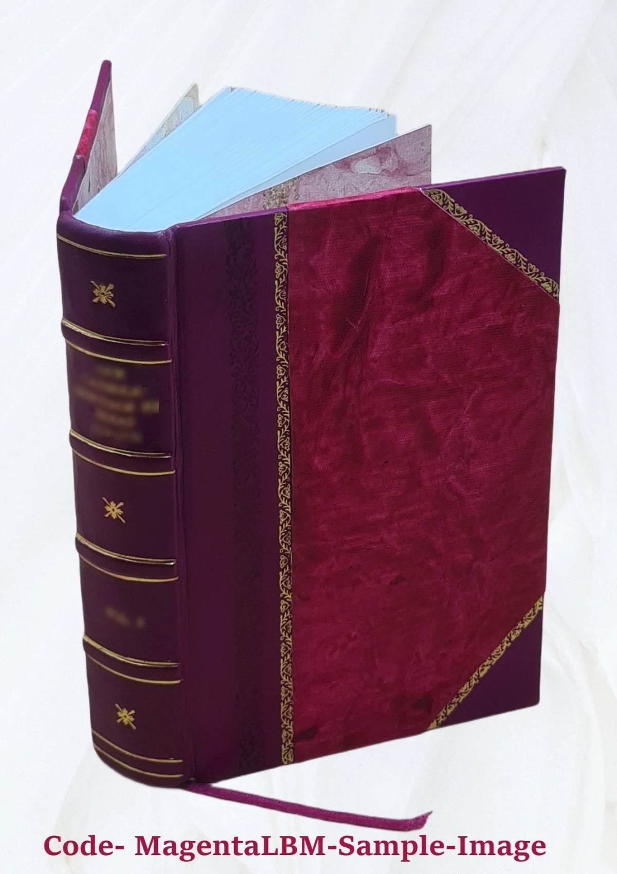 Médecine domestique Volume 4 Leather Bound X312